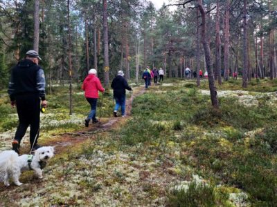 Ihmiset kävelevät luontopolulla metsässä pilvisessä säässä.