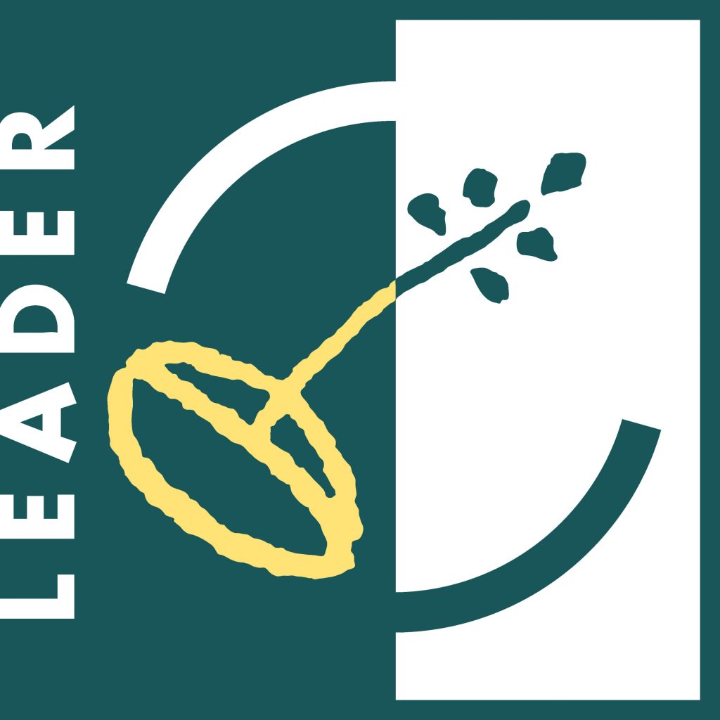 logo_leader_rgb_