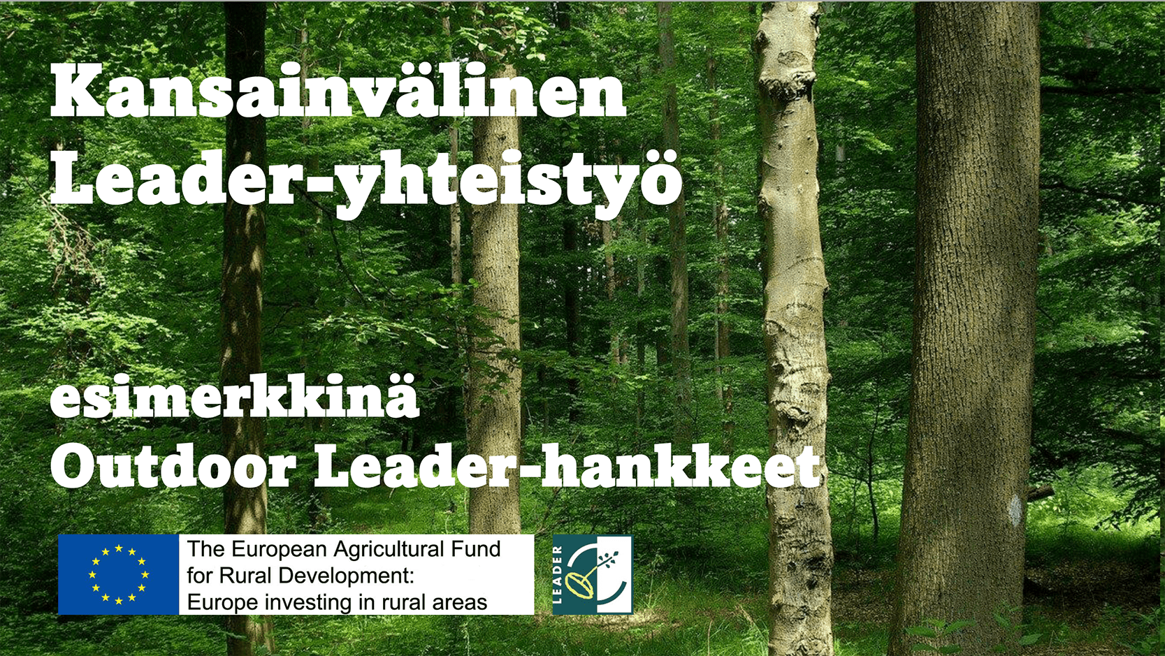 Metsäinen kuva, jonka päällä valkoinen teksti: Kansainvälinen Leader-yhteistyö.
