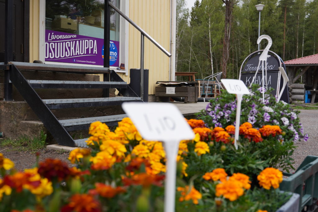 Myynnissä olevia kukkia Livonsaaren Osuuskaupan edustalla.