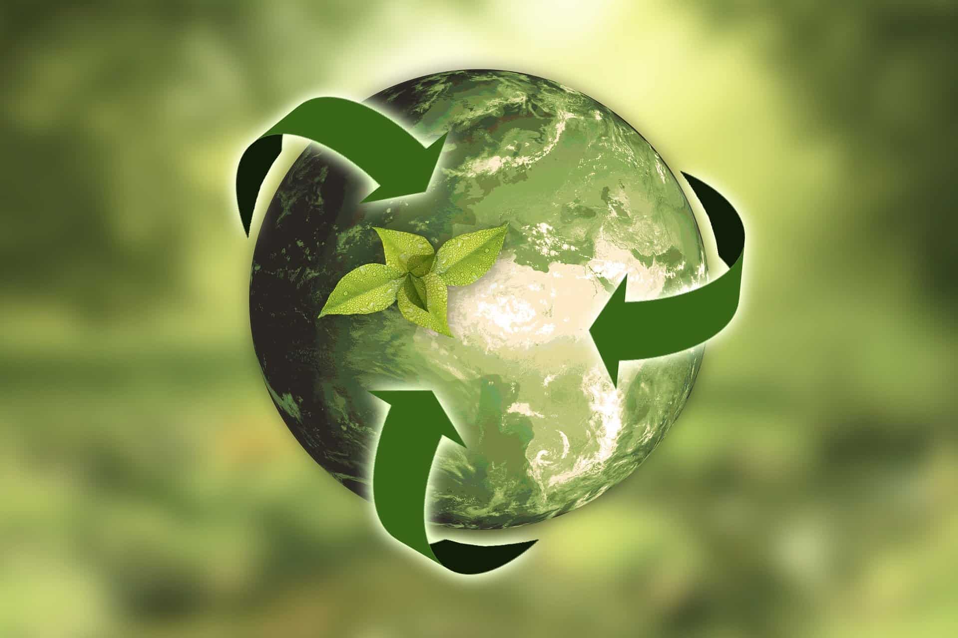10 vinkkiä ekologisempaan yhdistystoimintaan!